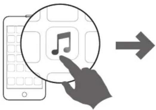 AUDIO PRO A40 - REQUISITOS BASICOS - 7