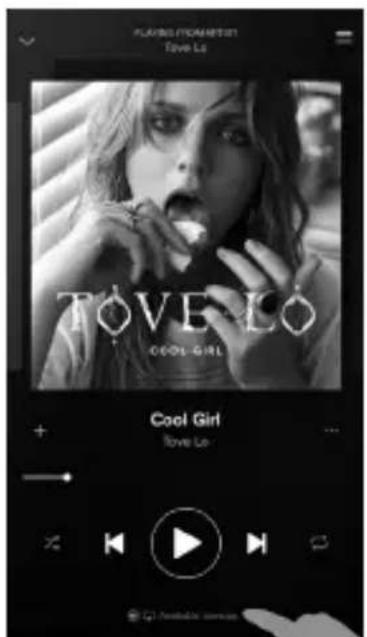 AUDIO PRO Addon C3 - Écoutez la musique à fond avec Spotify Connect : - 1