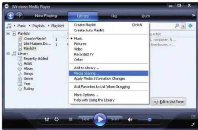 Auna IR150 - UPnP (Universal Plug and Play) - 1