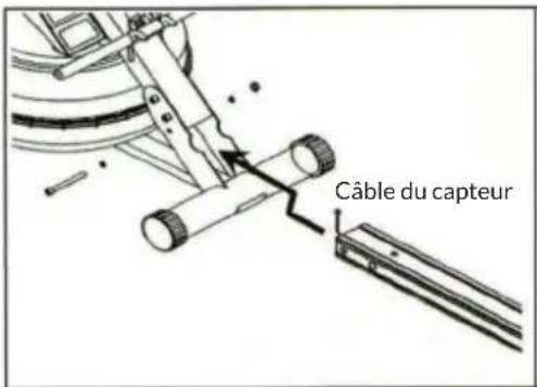 Capital Sports Rowlympic - ASSEMBLAGE - 4
