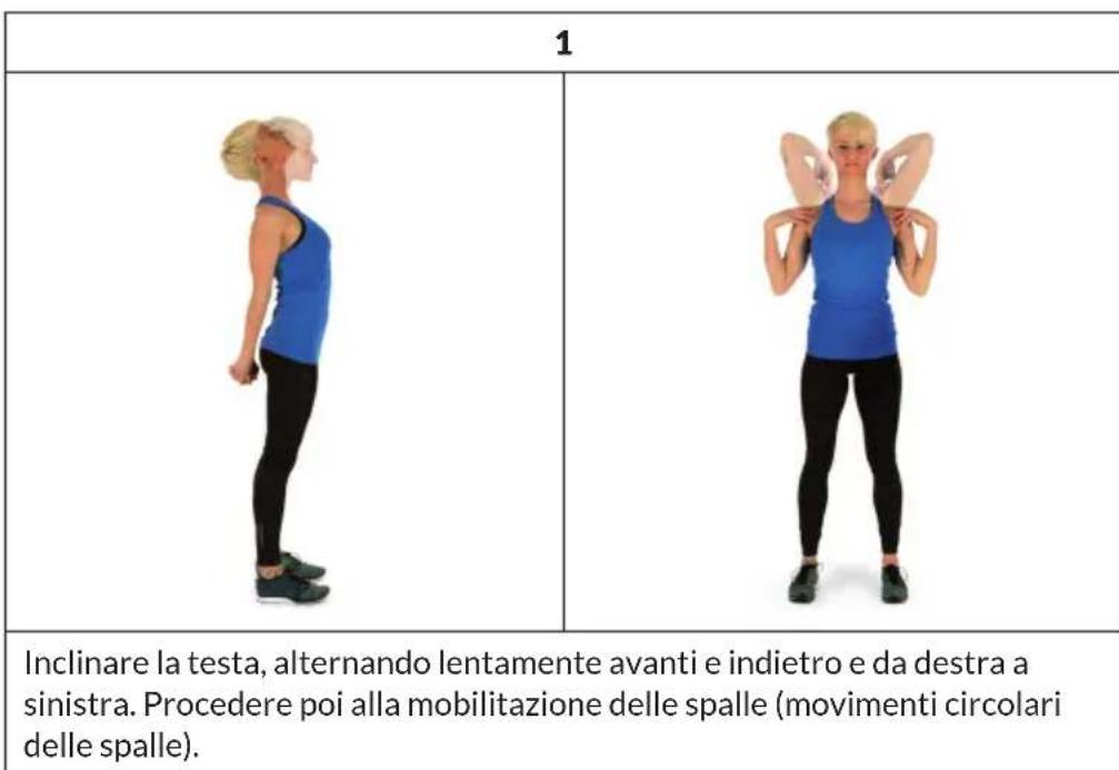 Capital Sports Helix Star DR - Dedicare - 1