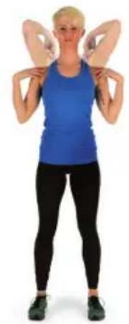 Capital Sports Helix Star MR - CALENTAMIENTO ANTES DEL ENTRENAMIENTO - 2
