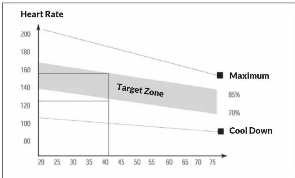 Capital Sports Orbit Pro - The Exercise Phase - 1