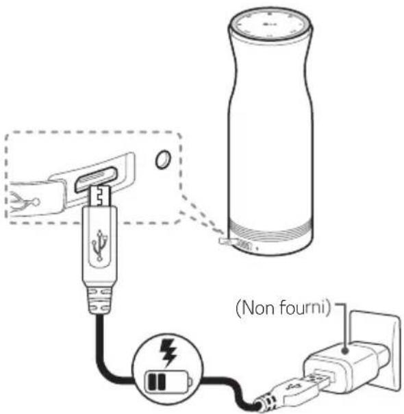 LG NP7860W - Raccordement de l'adaptateur secteur - 1
