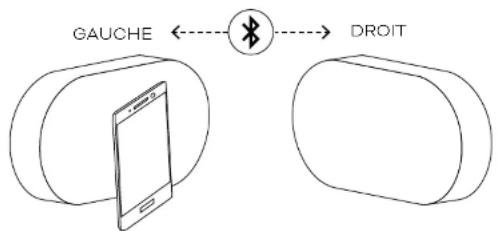 Dali KATCH G2 - Découplage Bluetooth - 7