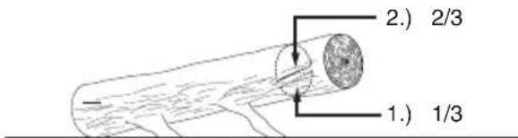 METABO MS 3618 LTX BL 40 - Cutting a tree trunk to length - 2