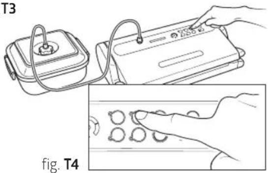T3 T4 fig. T4