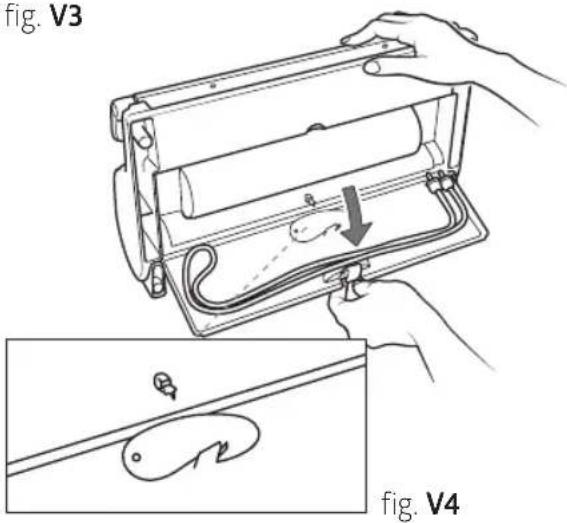 fig. V3 fig. V4