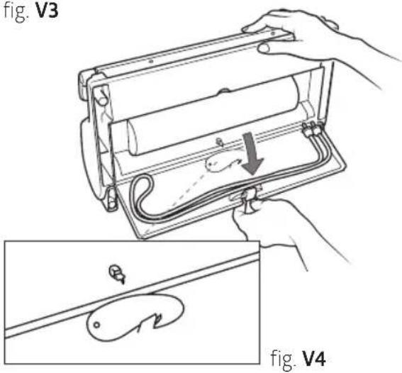 fig. V3 fig. V4