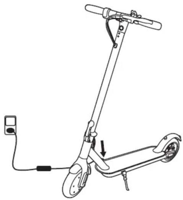 Envivo ENV1652 - GEWICHT- EN SNELHEIDSLIMIETEN - 1