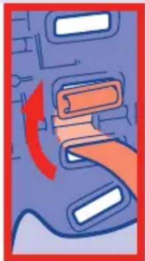 Nania Maxim Eco - 8