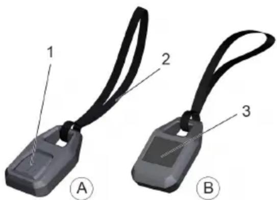 Kärcher IVS 100 - Télécommande - 1