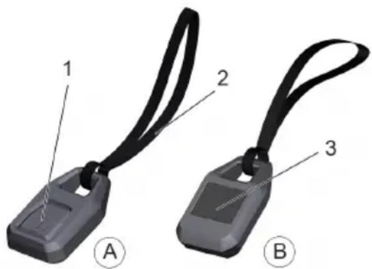 Kärcher IVS 100 - Telecomanda - 1