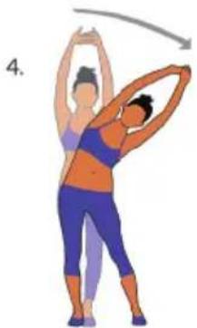Klarfit Myon Cycle - Stap 1 - 3