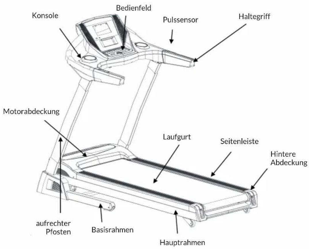 Capital Sports Infinity Track 6.0 - GERÄTEÜBERSICHT - 1