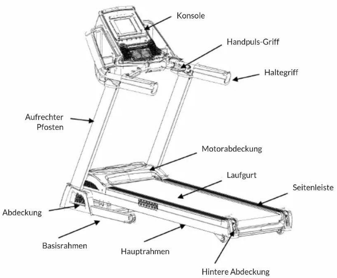 Capital Sports Infinity Pro 4.0 - GERÄTEÜBERSICHT - 1