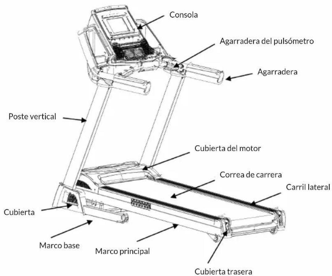 Capital Sports Infinity Pro 4.0 - INDICACIONES DE SEGURIDAD - 1