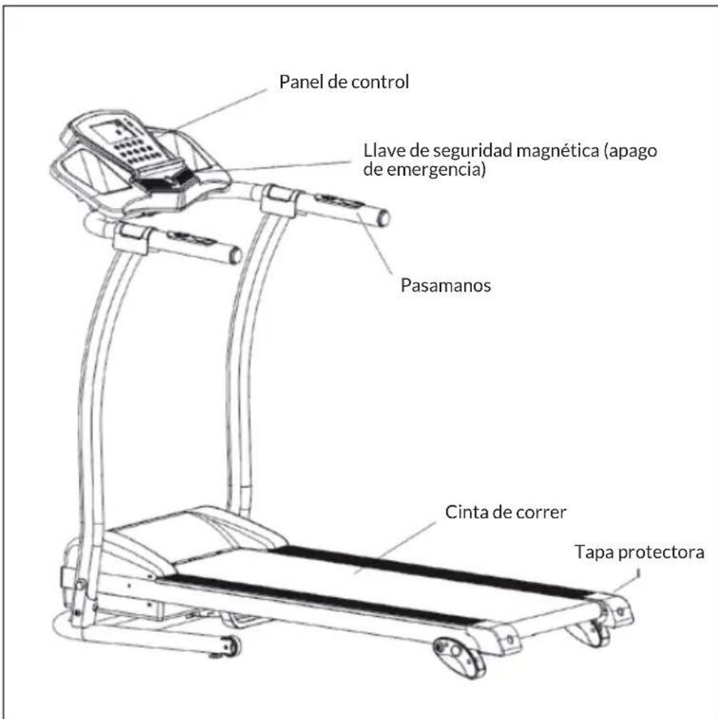 Capital Sports Pacemaker F100 - VISTA GENERAL DEL APARATO - 1