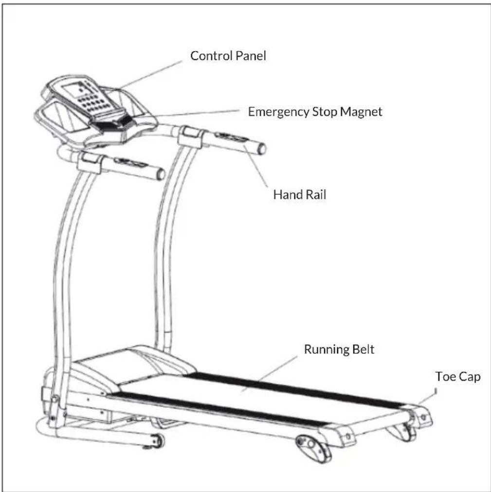 Capital Sports Pacemaker F100 - PRODUCT OVERVIEW - 1