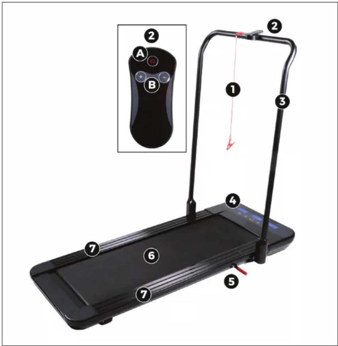 Capital Sports Workspace GO Plus - DEVICE OVERVIEW AND ACCESSORIES - 1