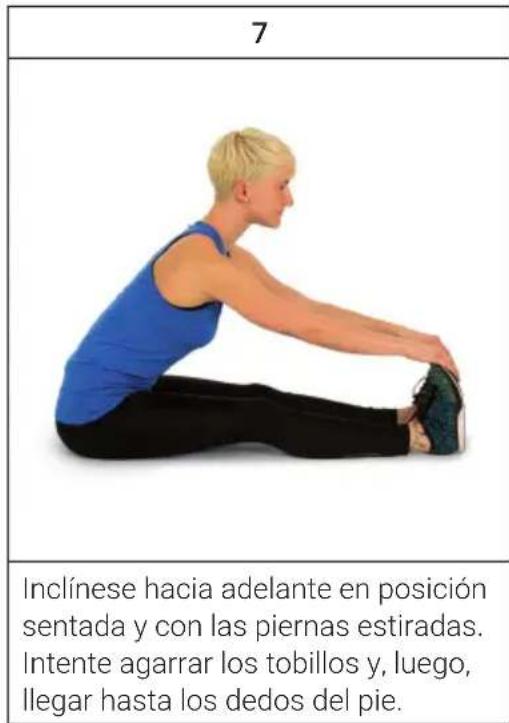 Capital Sports Workspace GO Plus - Comida ybebida - 2