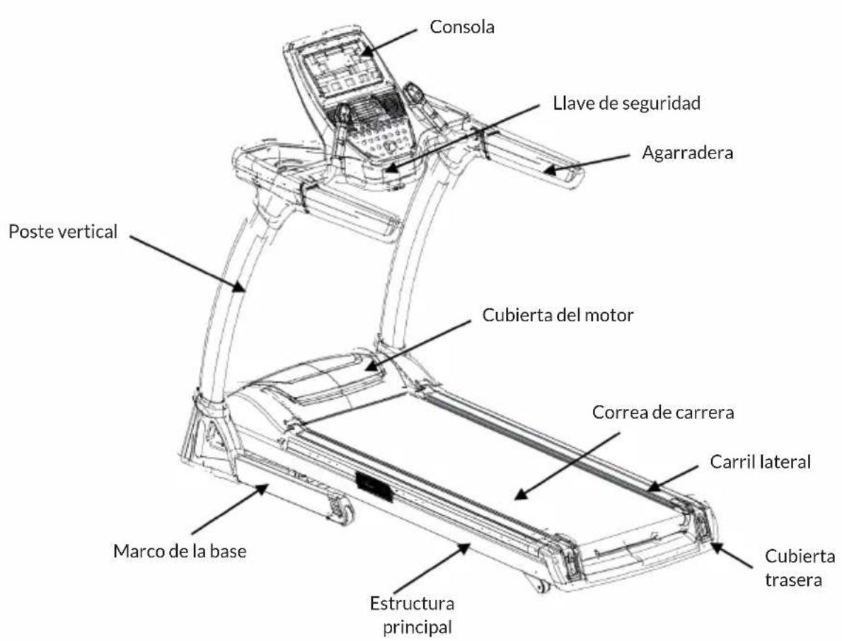 Capital Sports Infinity Track 4.0 - VISIÓN GENERAL DEL APARATO - 1