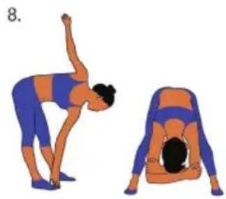 Capital Sports Azura Fusion - Cardio-Trainingsphase - 7
