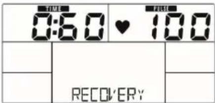 Capital Sports Evo Comfort - Heart rate status - 1