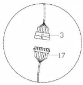 Capital Sports Evo Comfort - 21d8x016x1.54PCS - 3