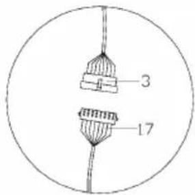 Capital Sports Evo Comfort - 21d8x016x1.54PCS - 3
