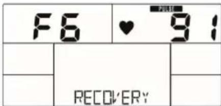 Capital Sports Evo Comfort - Heart rate status - 2