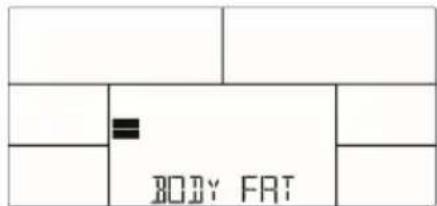 Capital Sports Evo Comfort - Body fat measurement - 2