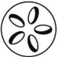 Klarstein Princesize - Aggiungere materiale combustibile - 2