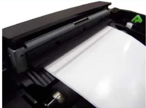 TSC TX200 - Installer les consommables dans le Mode Découpage (optionnel) - 2