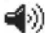 FESTOOL Sysrock BR 10 - Volume control - 1