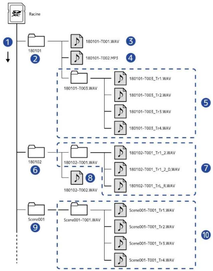 ZOOM F8n Pro - Structure des dossiers et fichiers - 1