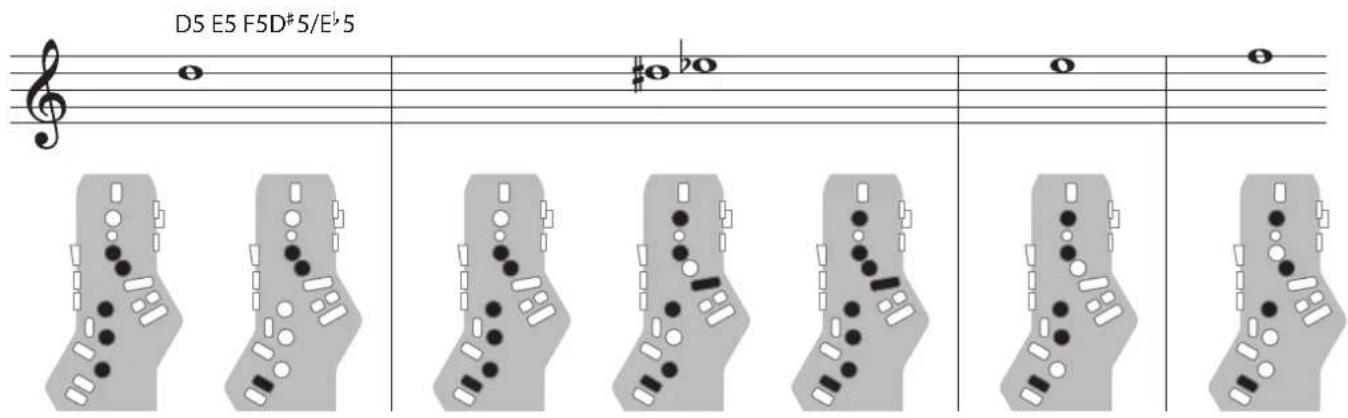 ROLAND Aerophone Pro - Flute - 2