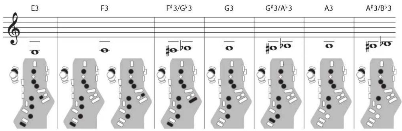 ROLAND Aerophone Pro - Clarinette - 1