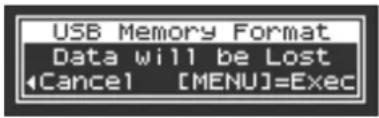 USB Memory Format Data will be Lost Cancel [MENU]=Exec
