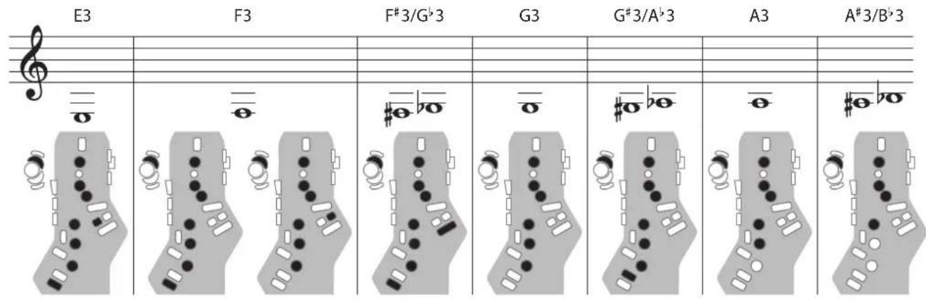 ROLAND Aerophone AE20 - Clarinette - 1