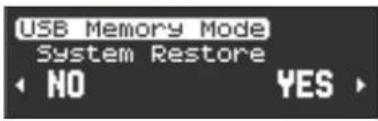 USB Memory Mode System Restore NO YES