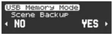 USB Memory Mode Scene Backup NO YES