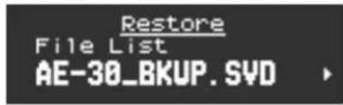 Restore File List AE-30_BKUP.SVD