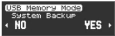 USB Memory Mode System Backup NO YES