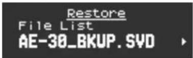 Restore File List AE-30_BKUP.SVD