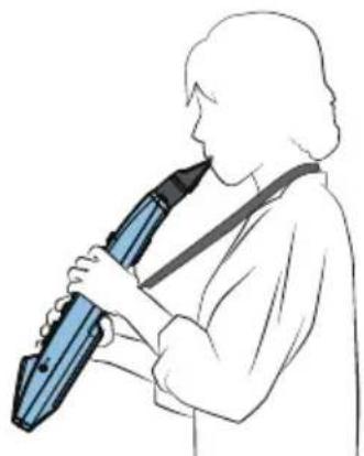 ROLAND Aerophone mini - Tenez-le comme indiqué sur l'illustration. - 1