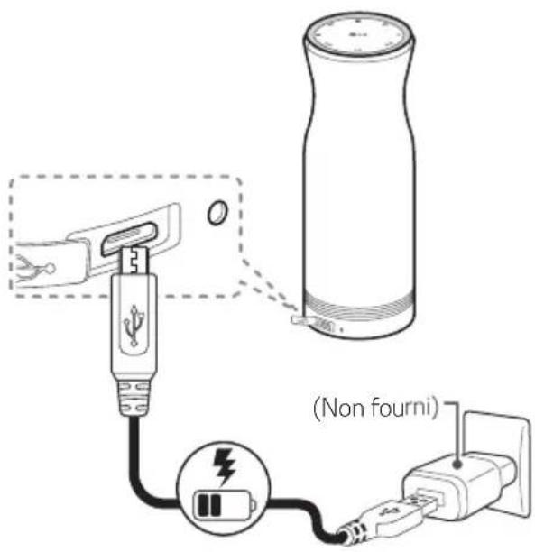 LG NP7860U - Raccordement de l'adaptateur secteur - 1