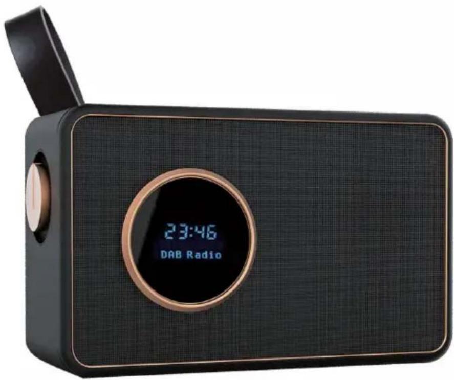 ALBRECHT DR 750 - Radio numérique DAB+ DR 750 - 1