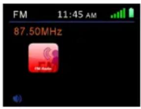 ALBRECHT DR 855 - FM Radio Operation - 1
