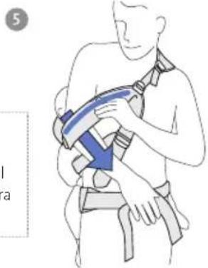 BabyBjörn Baby Carrier Free - Cómo llevar al pequeño en la espalda - 5